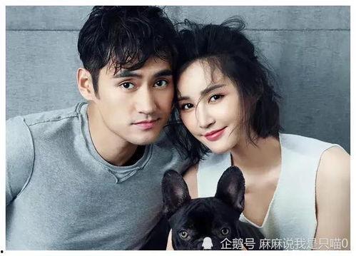 明星吃瓜娱乐爆料直播间,揭秘直播间吃瓜娱乐幕后真相